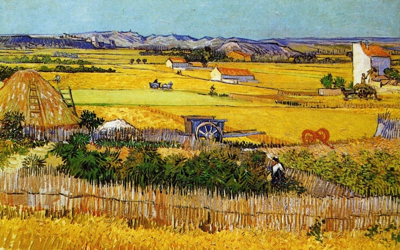 Vincent Van Gogh La plaine de la Crau toile