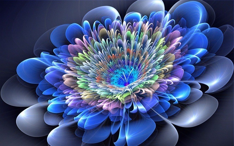 fleur image de synthese 3D