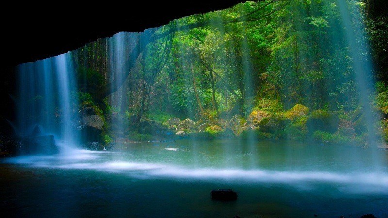 photo forêt sous cascade wallpaper image