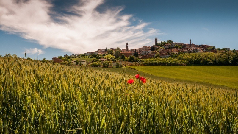 paysage campagne village sur colline champs blé
