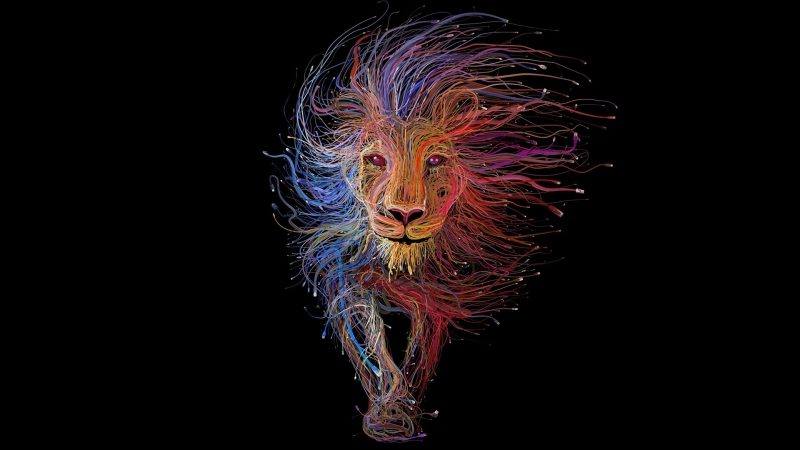 art connected usb lion fond écran