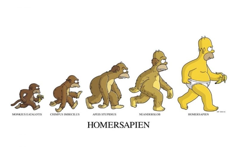 Homer Simpson Homersapien dessin humour