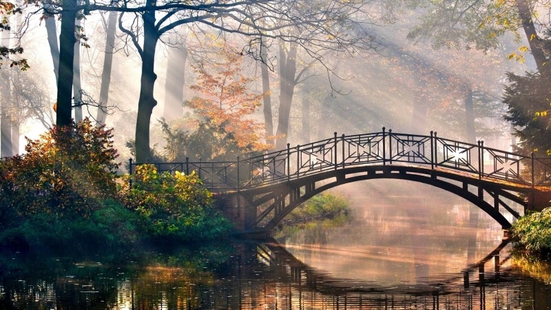 Pont dans un parc le matin lever de soleil