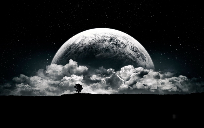 Fond écran HD image noir et blanc paysage lune et arbre wallpaper moon