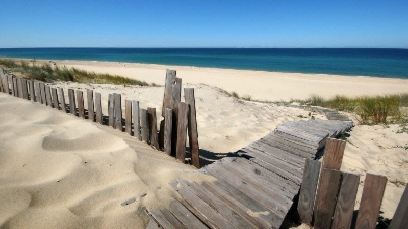 Plage de sable dune wallpaper