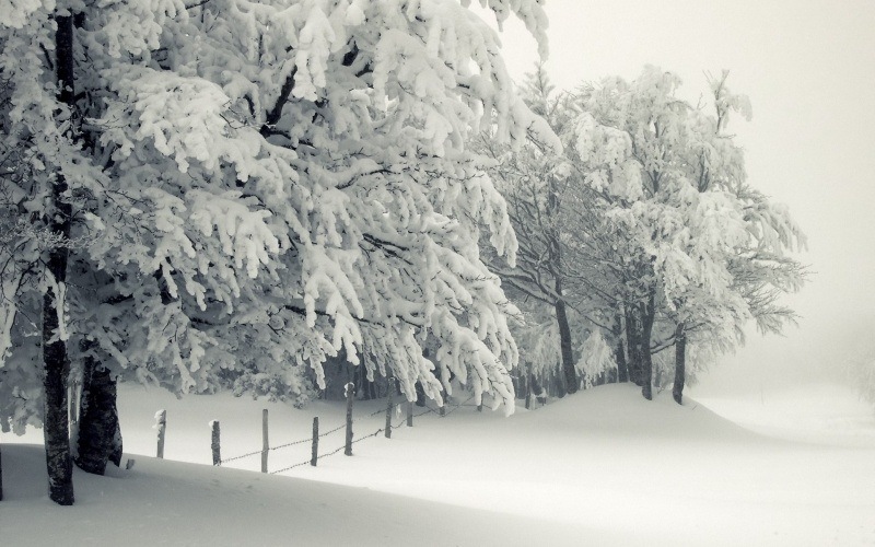 wallpaper Neige paysage hiver