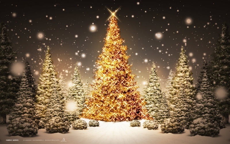 Fond d'écran HD fête de Noël grand sapin sous la neige téléchargement gratuit wallpaper PC Mac OS tablette smartphone