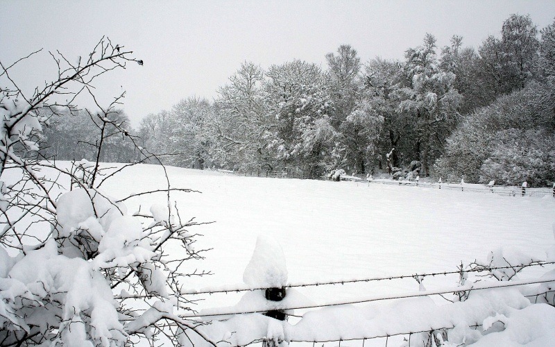 Fond d'écran HD paysage champs sous la neige télécharger gratuitement wallpaper pour PC smartphone Mac tablette