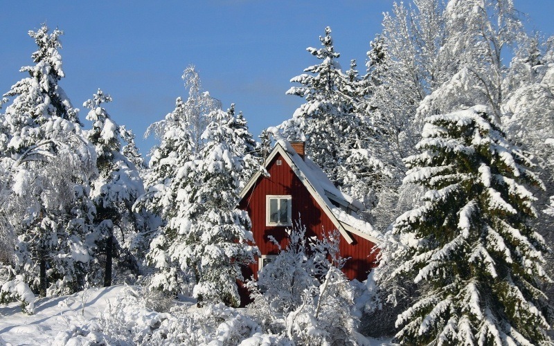 Chalet dans forêt sous la neige