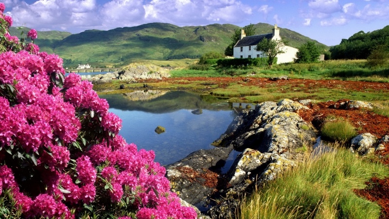 fond d'écran wallpaper paysage Irlande nature maison colline fleur photo bureau Windows desktop smartphone tablette