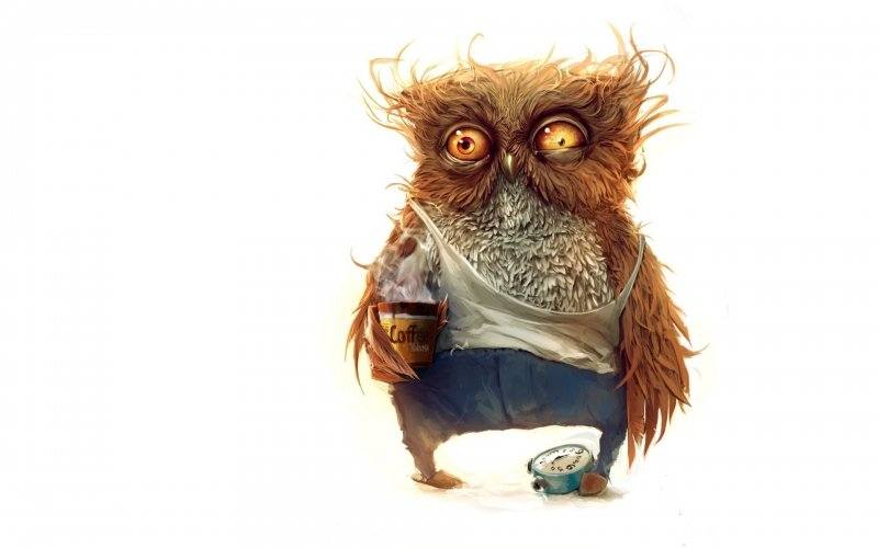 Fond écran HD humour hibou dessin réveil difficile café téléchargement gratuit wallpaper PC Mac OS tablette smartphone<