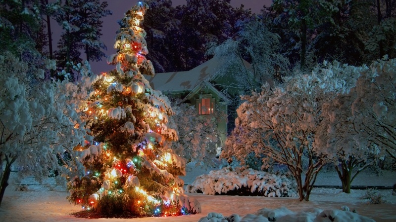 sapin de Noël décoration sous neige fond écran