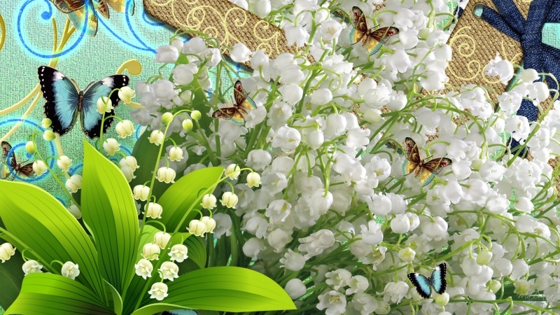 printemps muguet fleur papillon 1er mai