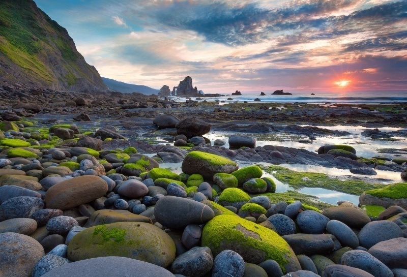 plage galets et rochers avec algues fond écran