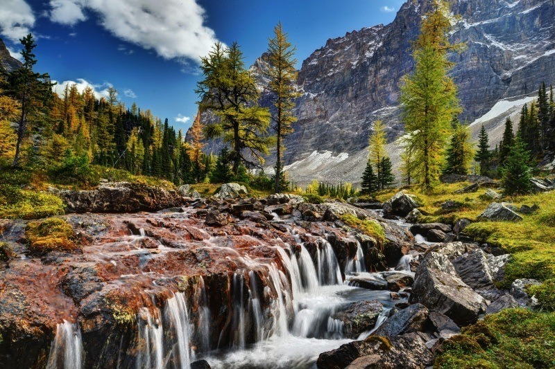 photo USA forest national park