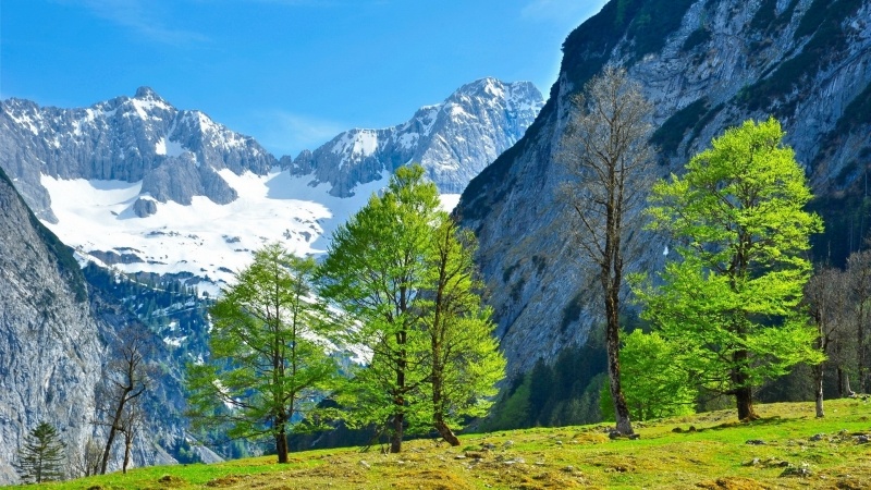 paysage de montagne au printemps photo