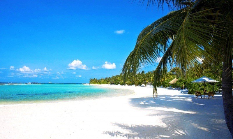 fond écran HD paysage plage tropicale sable blanc palmier mer turquoise wallpaper beach picture photo