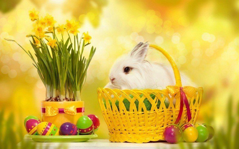 image lapin oeufs peints fleurs pâques