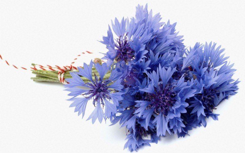 photo fleurs bleuets en bouquet image