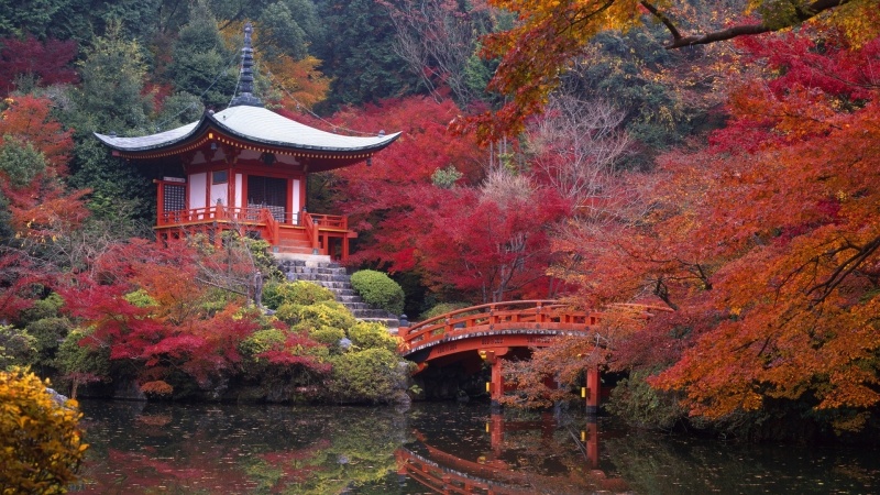 jardin japonais et pont à l'automne