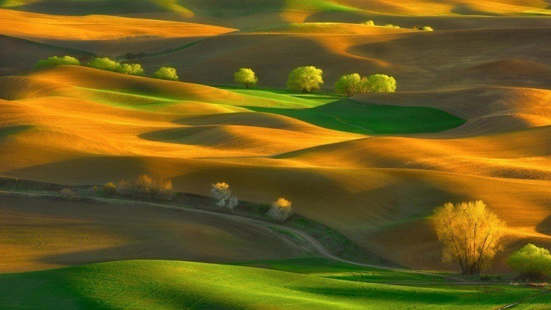 image fond d'écran HD nature USA steptoe butte state park washington wallpaper photo