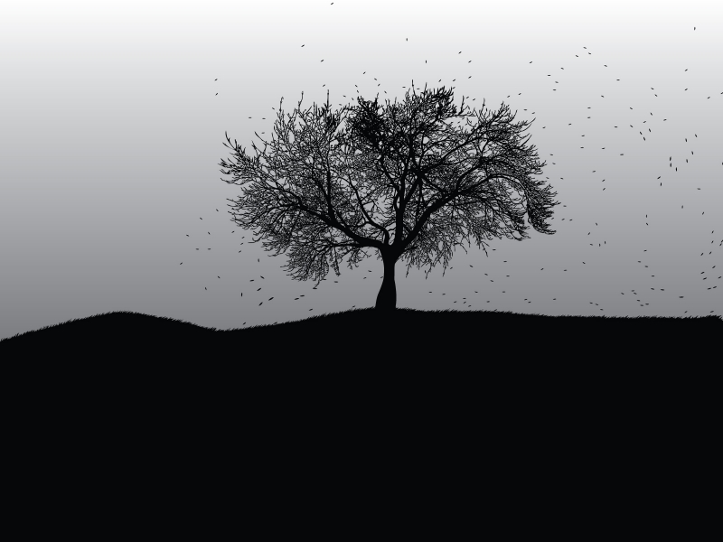 photo art arbre et oiseaux