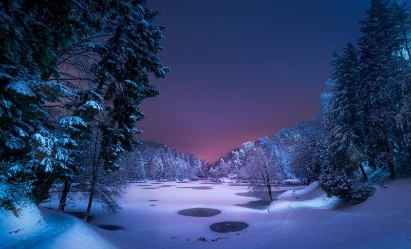 lac gelé nuit arbre
