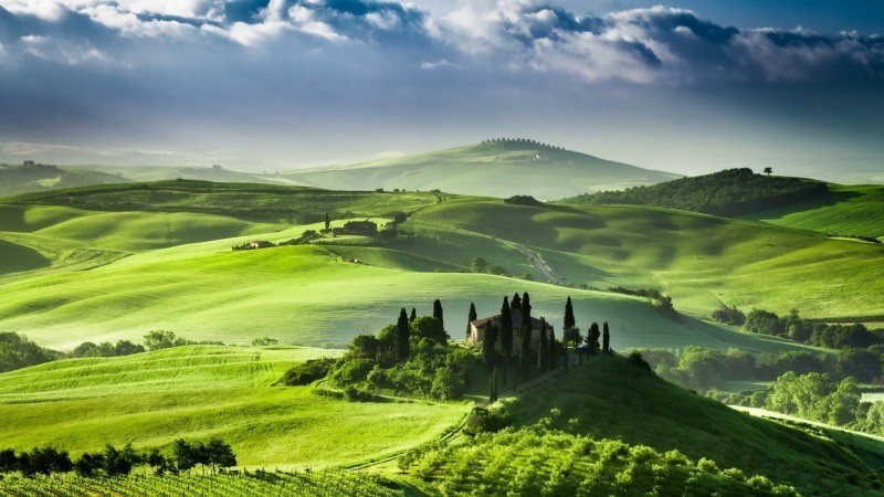 Italie Toscane champs vert photo