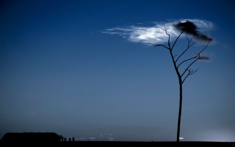 fond d'écran artistique photo arbre ciel et nuages image HD