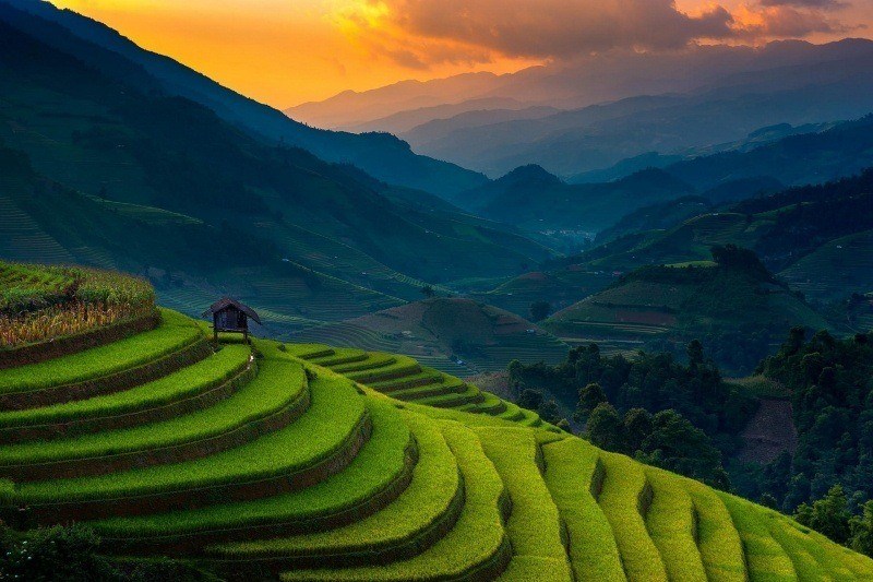 picture image rizières champs culture en terrasse Vietnam lever du soleil montagne fond écran