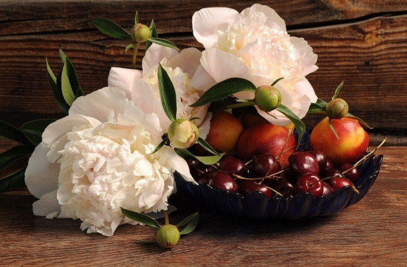 photo art pivoines blanches fleurs fruit