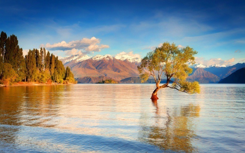 Nouvelle-zélande lac forêt et montagne photo