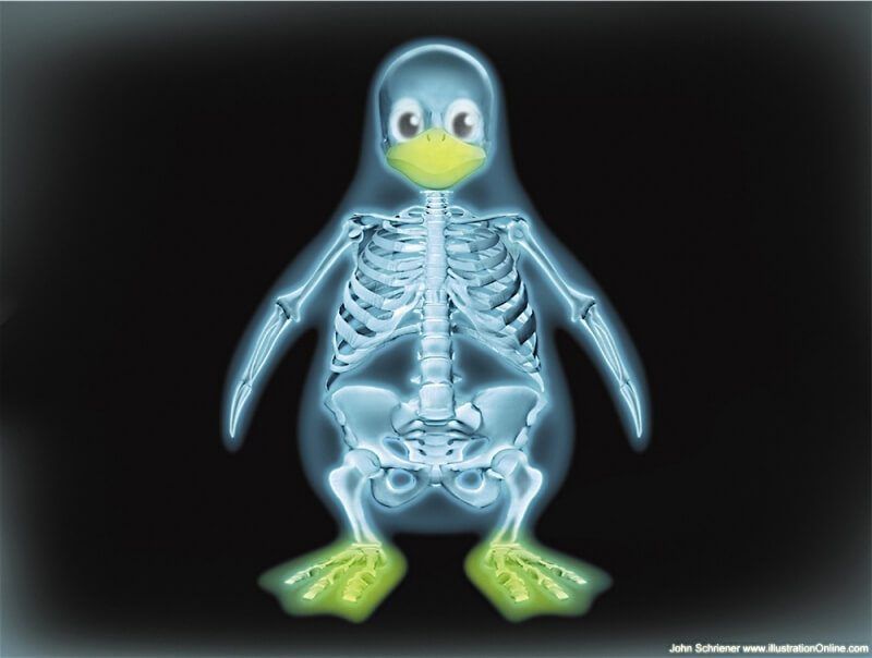 Tux au rayon X Linux image