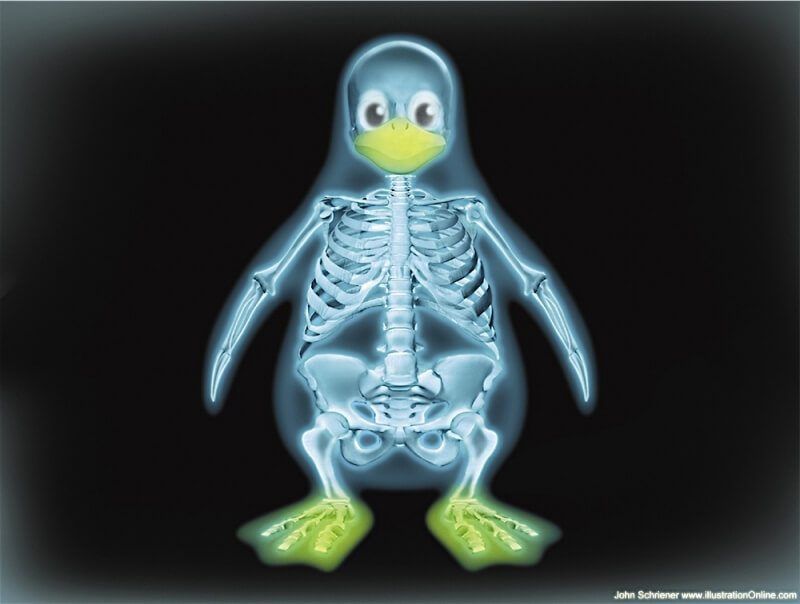 Fond écran Linux Tux rayon X