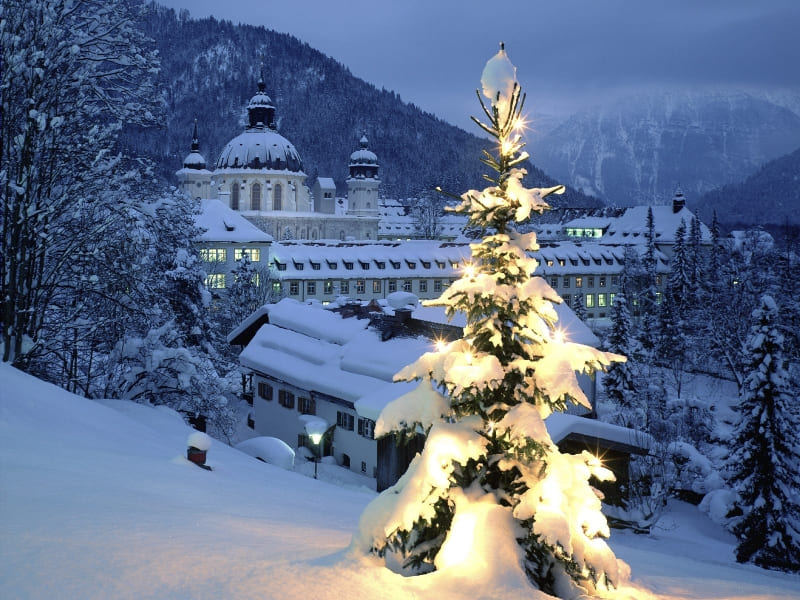 sapin lumière neige