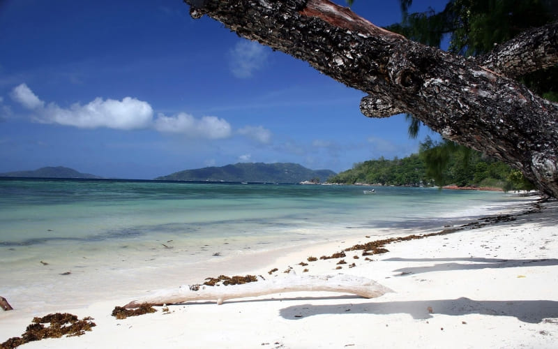 wallpaper plage de rêve fond écran sable blanc fond écran gratuit