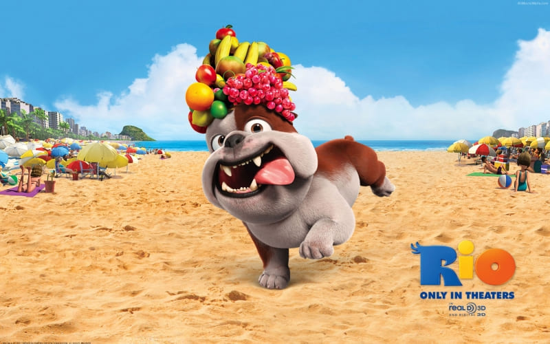 Rio movie 6