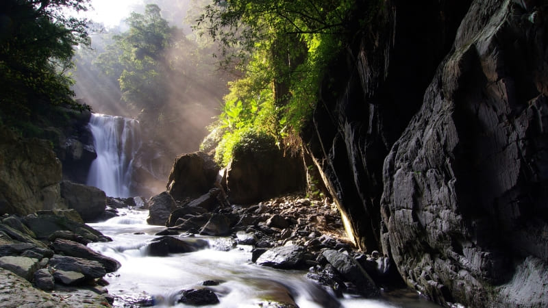 fond d'écran HD cascade et rivère dans une forêt wallpaper background télécharger gratuit