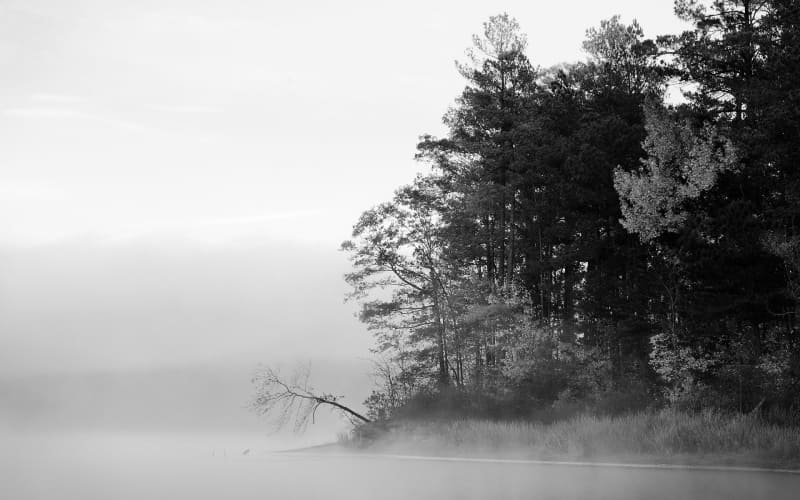 campagne dans le brouillard noir et blanc photo