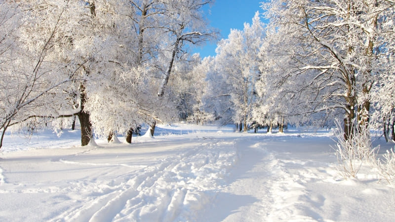 fond d'écran paysage froid neige hiver chemin wallpaper HD