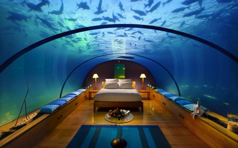 fond écran HD chambre au milieu des poissons wallpaper PC tablette smartphone Mac OS