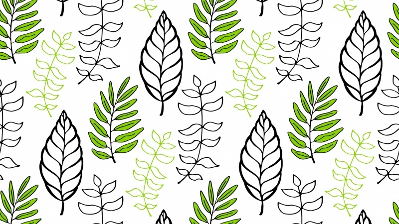 Fond ecran art nature texture feuille vert et blanc wallpaper nature white and green picture