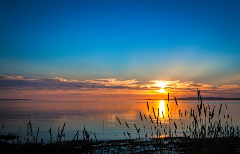 photo fond ecran HD soleil couchant sur rivage et végétaux de lac image picture wallpaper