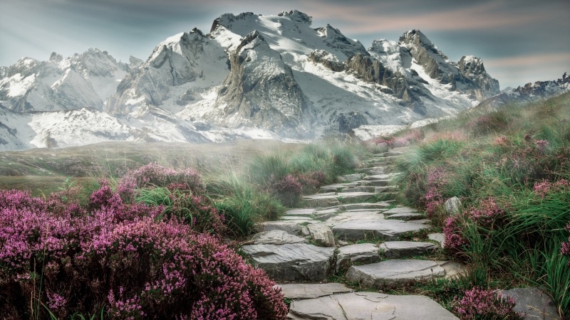 Montagne paysage randonnée fleurs