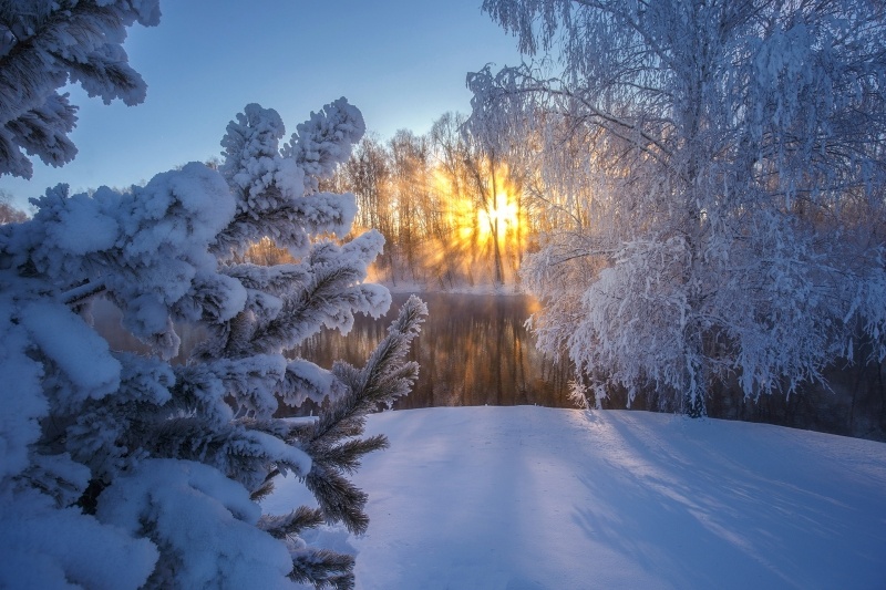 Hiver russe gel arbres neige soleil levant