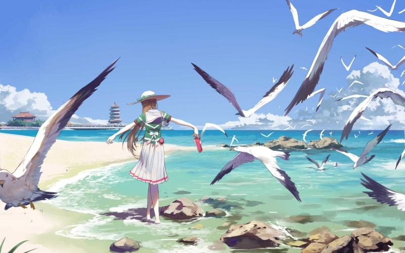 Fond ecran HD manga divers fille sur plage vol de mouettes ciel bleu image picture wallpaper