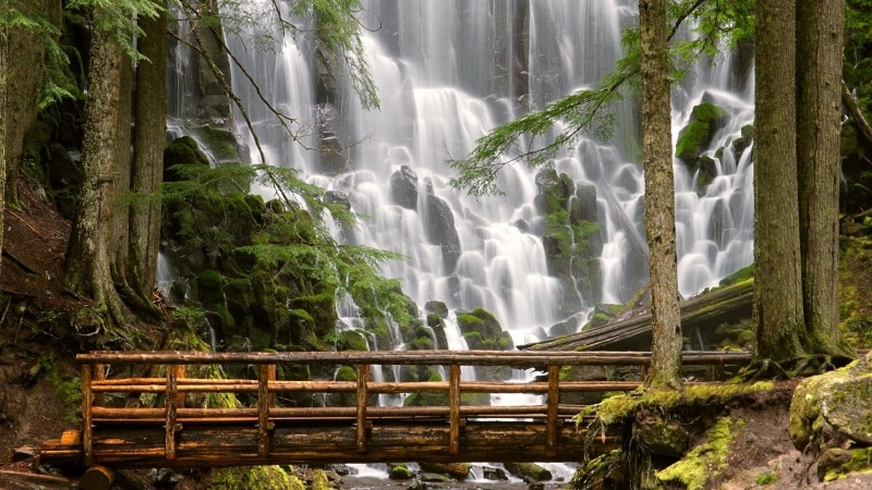 Cascade dans forêt et pont de bois