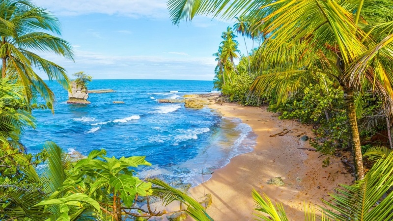 Plage sauvage Costa Rica cocotier sable et mer bl