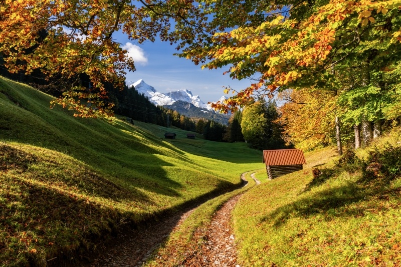 Chemin de montagne dans prairie