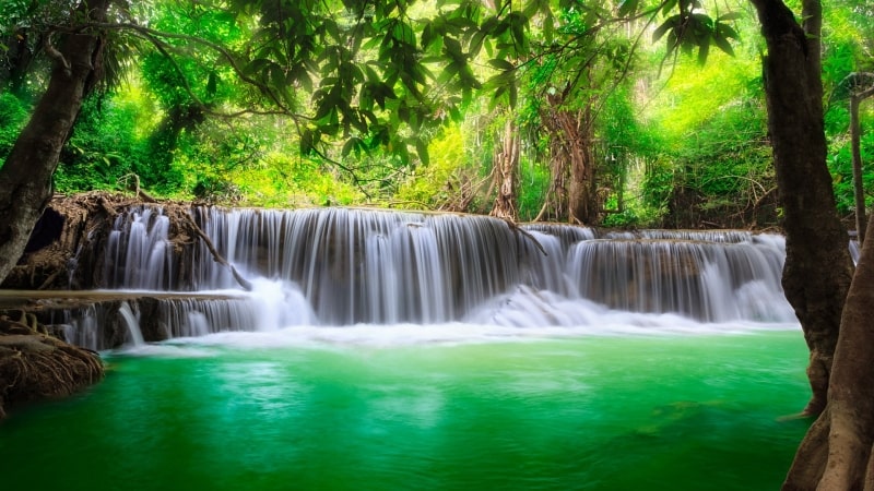 Paysage de cascades en jungle